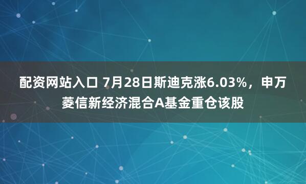 配资网站入口 7月28日斯迪克涨6.03%，申万菱信新经济混合A基金重仓该股