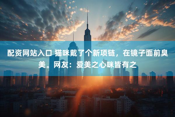 配资网站入口 猫咪戴了个新项链，在镜子面前臭美。网友：爱美之心咪皆有之